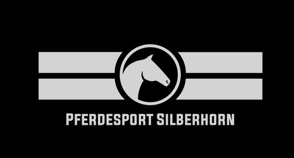 www.pferdesport-silberhorn.de